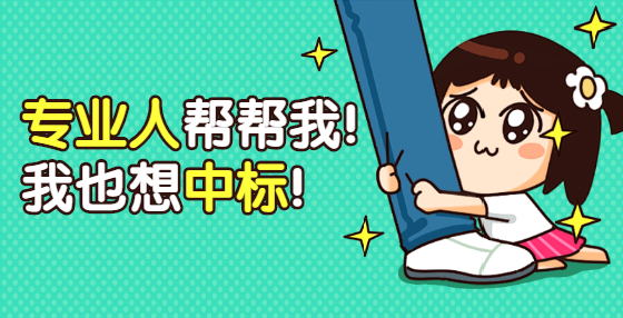 编制服务类投标文件应注意的“小细节（一）：详细查看招标文件
