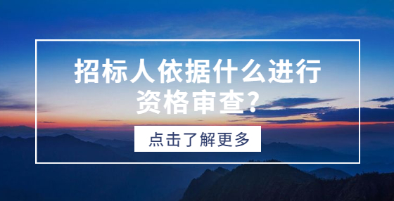 招标人依据什么进行资格审查?