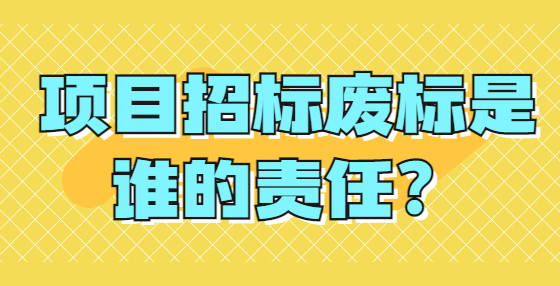 项目招标废标是谁的责任？
