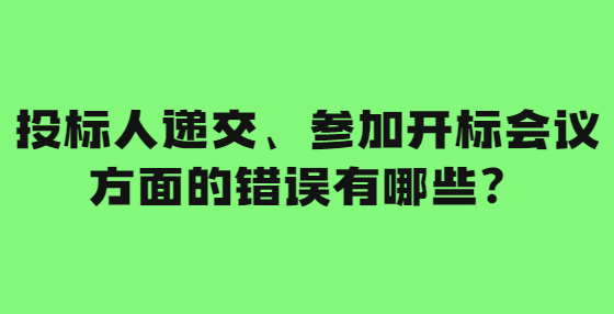 投标人递交、参加开标会议方面的错误有哪些？