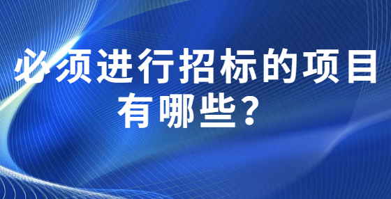 必须进行招标的项目有哪些？