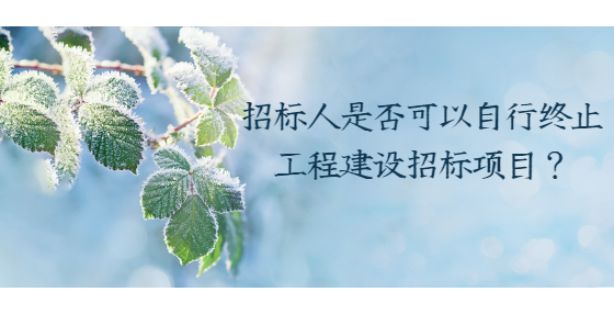 招标人是否可以自行终止工程建设招标项目？