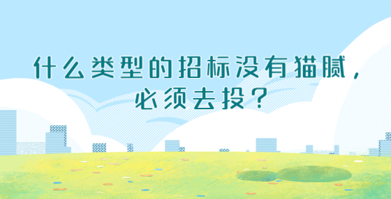 什么类型的招标没有猫腻，必须去投？