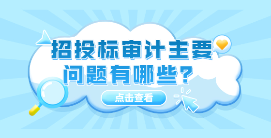 招投标审计主要问题有哪些？