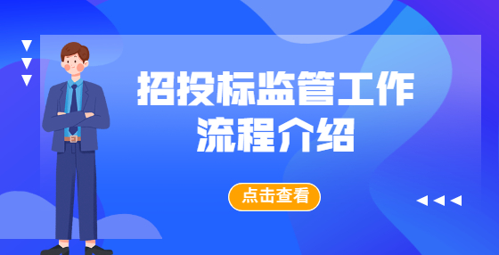 招投标监管工作流程介绍