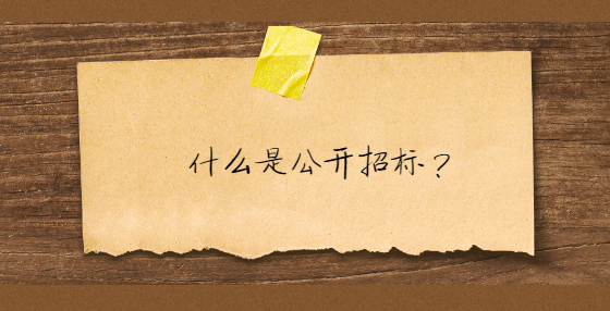 什么是公开招标？