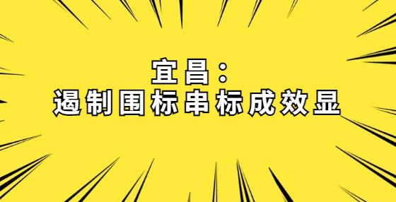 宜昌：遏制围标串标成效显
