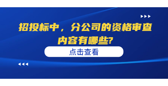 招投标中，分公司的资格审查内容有哪些?