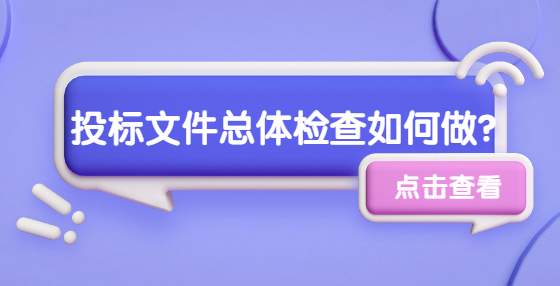 投标文件总体检查如何做？