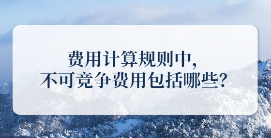 费用计算规则中，不可竞争费用包括哪些？