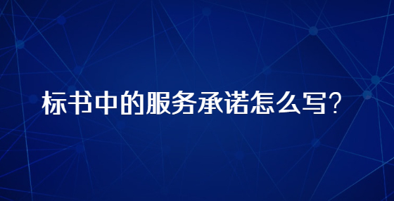 标书中的服务承诺怎么写？