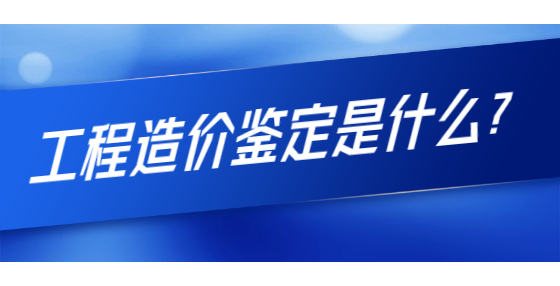 工程造价鉴定是什么？