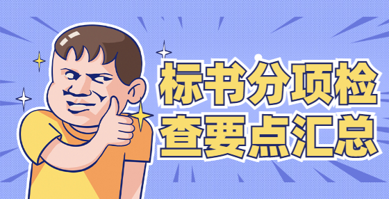 标书分项检查要点汇总