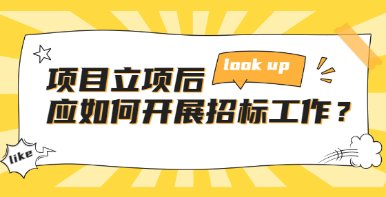 项目立项后应如何开展招标工作？