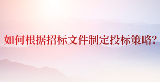 如何根据招标文件制定投标策略？