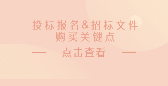 投标报名&招标文件购买关键点