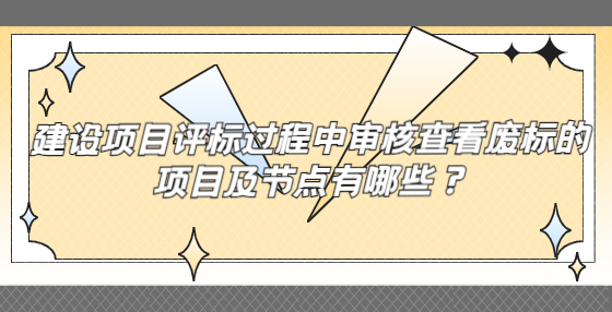 建设项目评标过程中审核查看废标的项目及节点有哪些？