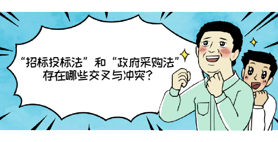 “招标投标法”和“政府采购法”存在哪些交叉与冲突？