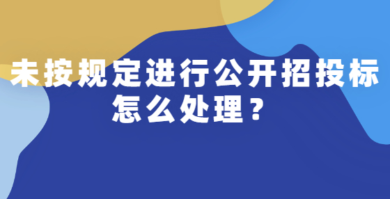 未按规定进行公开招投标怎么处理？