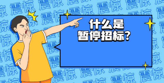 什么是暂停招标？