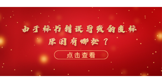 由于标书错误导致的废标原因有哪些？