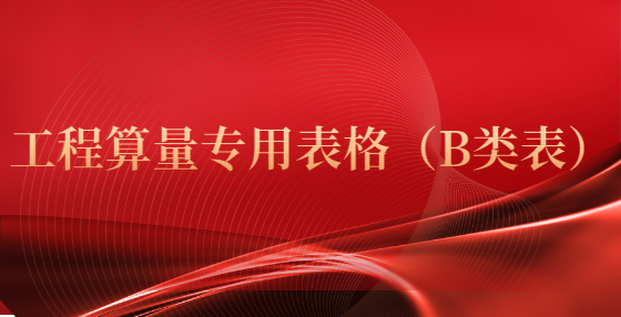 工程算量专用表格（B类表）