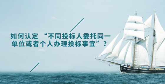 如何认定 “不同投标人委托同一单位或者个人办理投标事宜”？