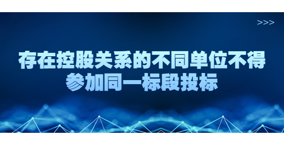 存在控股关系的不同单位不得参加同一标段投标