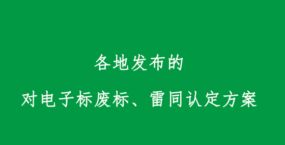 各地发布的对电子标废标、雷同认定方案