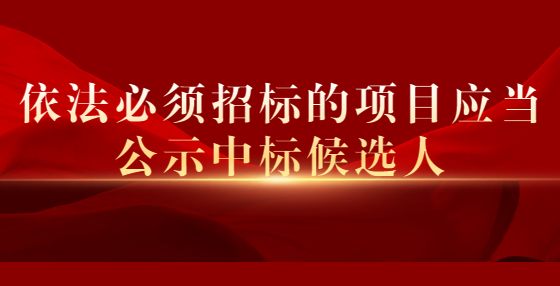 依法必须招标的项目应当公示中标候选人