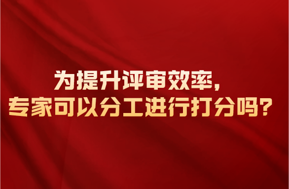 为提升评审效率，专家可以分工进行打分吗？