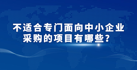 不适合专门面向中小企业采购的项目有哪些？