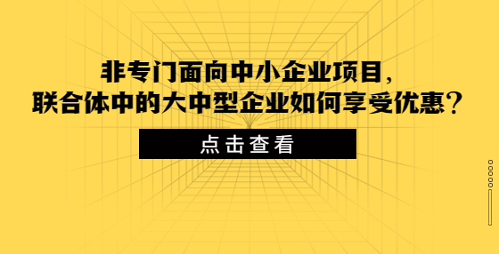 非专门面向中小企业项目，联合体中的大中型企业如何享受优惠？