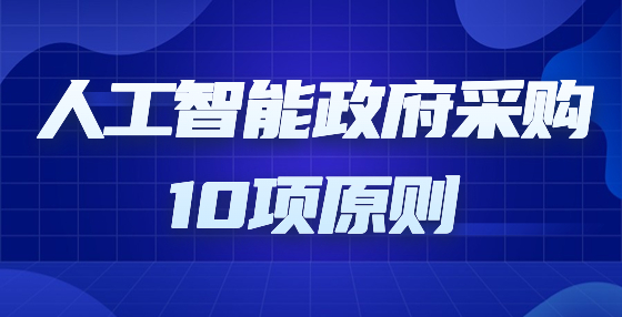 人工智能政府采购10项原则