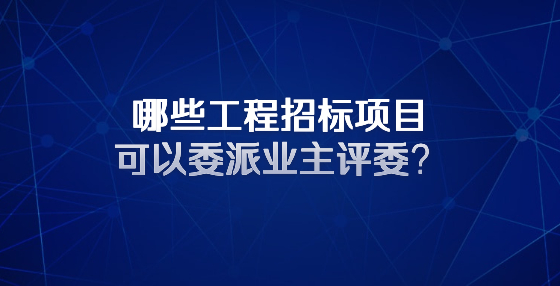 哪些工程招标项目可以委派业主评委？