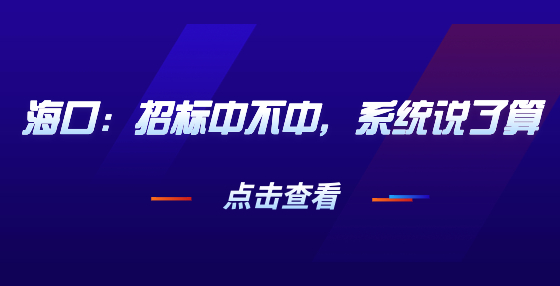 海口：招标中不中，系统说了算