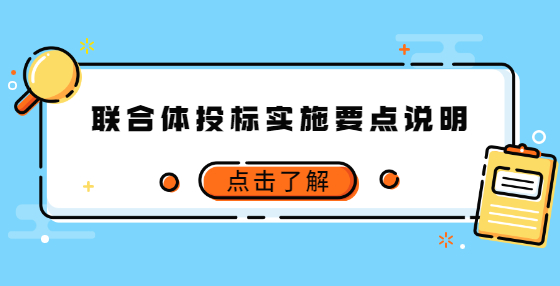 联合体投标实施要点说明