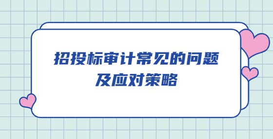 招投标审计常见的问题及应对策略