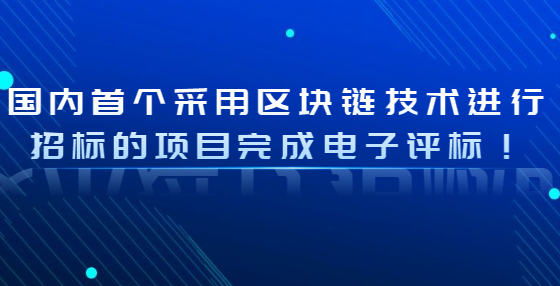 国内首个采用区块链技术进行<a href=