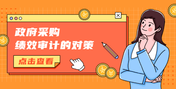 政府采购绩效审计的对策