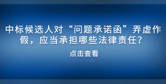 中标候选人对“问题承诺函”弄虚作假，应当承担哪些法律责任？