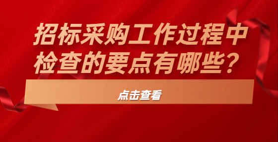 招标采购工作过程中检查的要点有哪些？