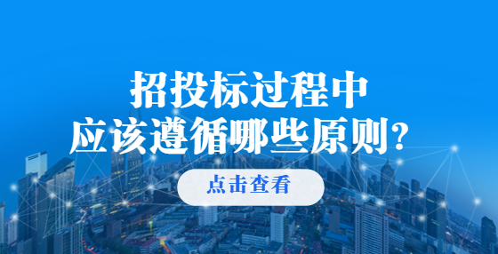 招投标过程中应该遵循哪些原则？