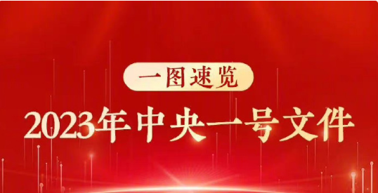 2023年中央一号文件公布 提出做好2023年全面推进乡村振兴重点工作