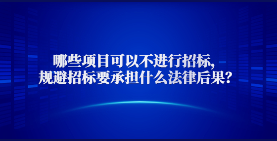  哪些项目可以不进行招标，规避招标要承担什么法律后果？