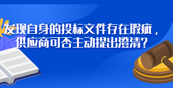 发现自身的投标文件存在瑕疵，供应商可否主动提出澄清？