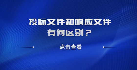 投标文件和响应文件有何区别？