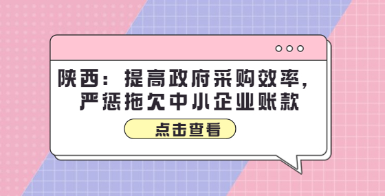 陕西：提高政府采购效率，严惩拖欠中小企业账款