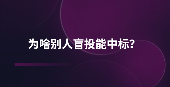 为啥别人盲投能中标？