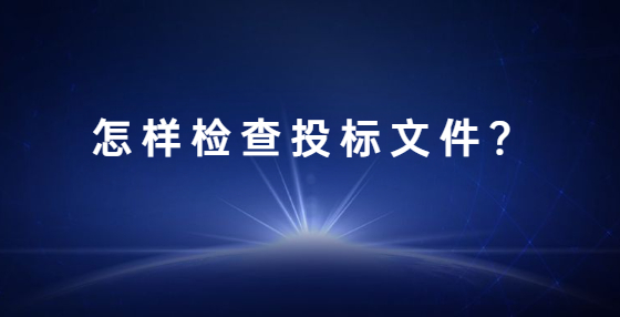 怎样检查投标文件？